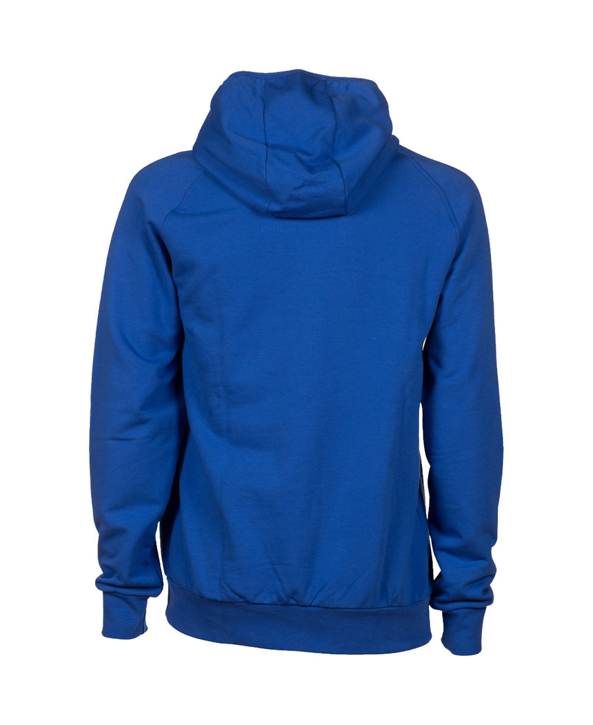 Arena Trui Team Hooded Sweat Panel Royal