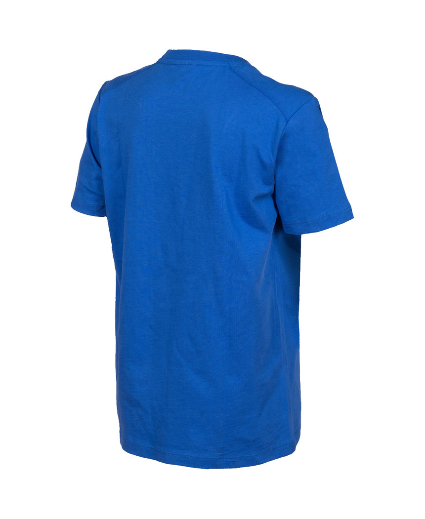 Arena Junior T-shirt Team Panel Royal