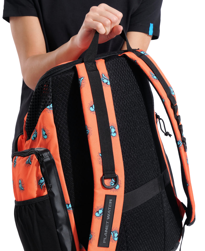 Arena One Go Backpack 45L AO Yee-Ha back view