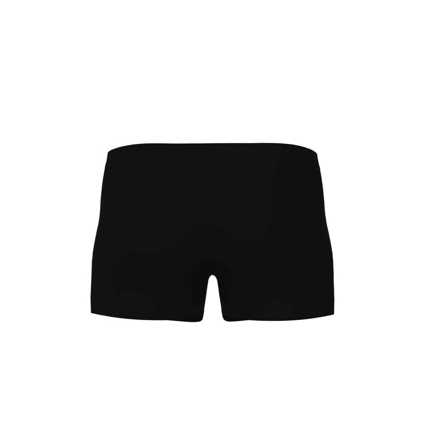 Arena Swim Trunks Reflecting Black
