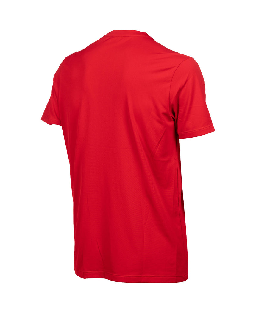 Arena T-shirt Team Solid Rood