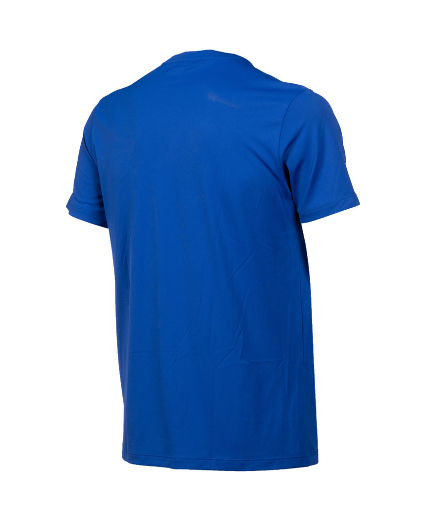Arena T-shirt Team Solid Royal