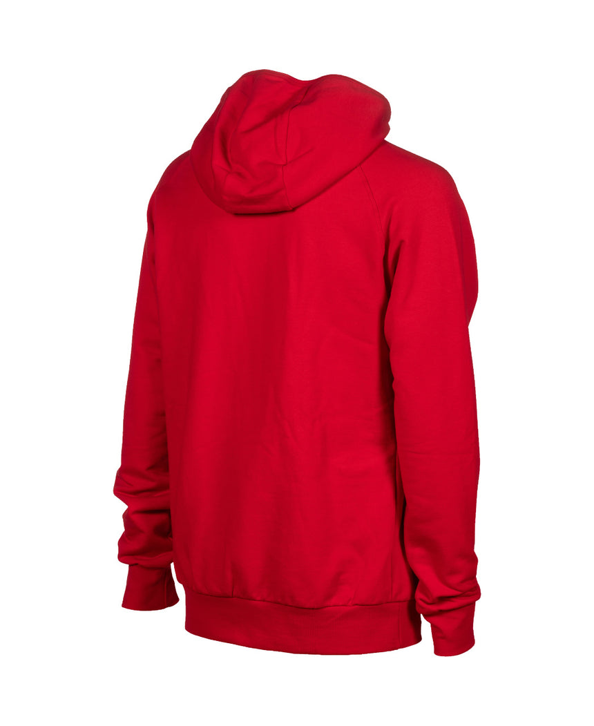 Arena Trui Team Hooded Sweat Panel Rood