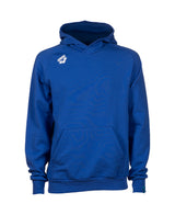 Arena Trui Team Hooded Sweat Panel Royal