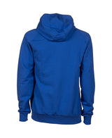 Arena Trui Team Hooded Sweat Panel Royal