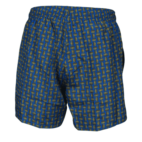 Arena Fundamentals Allover Short