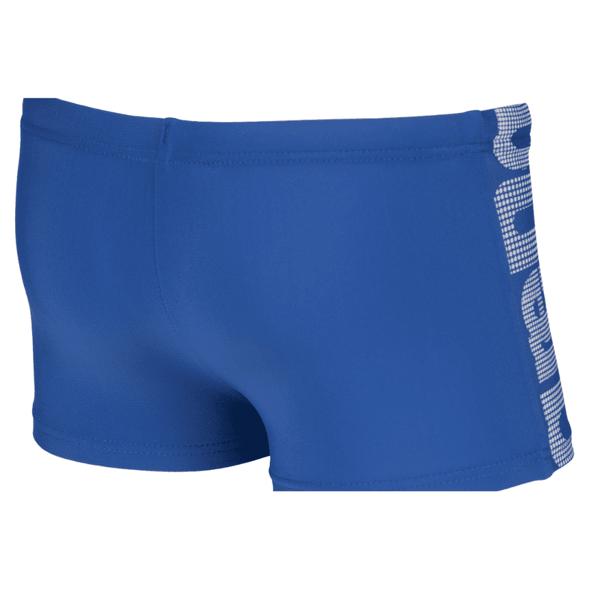 Arena Logo Kids Boy Short